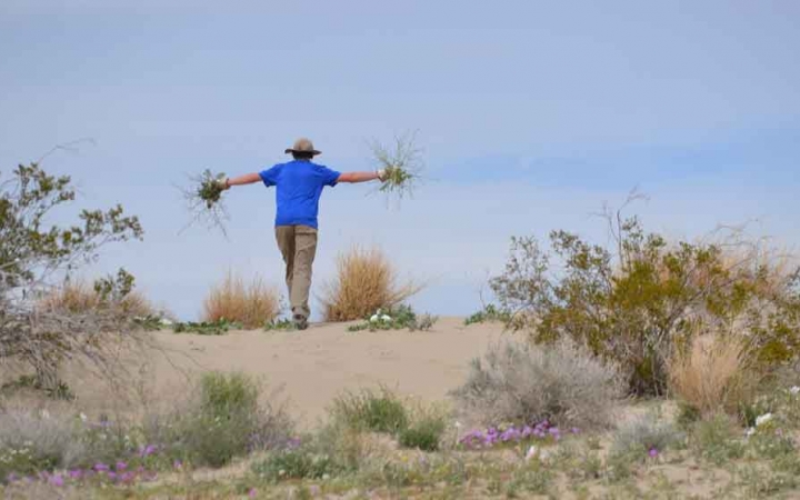 gap year service learning trip in joshua tree